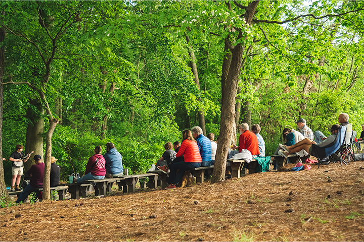 Music and Arts at Pemberton Park Return